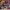 https://res.cloudinary.com/billionhands/image/upload/v1771843722/items/qii57qpuydvq5erhc2vr.png-3cover