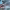 https://res.cloudinary.com/billionhands/image/upload/v1771843750/items/ubeadakcgjvmgvaf7cyk.jpg-3cover