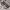 https://res.cloudinary.com/billionhands/image/upload/v1771843841/items/npmygydhqlpavrsoa8t4.jpg-1cover