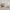 https://res.cloudinary.com/billionhands/image/upload/v1771843841/items/sswvvdgjkb942fnlv2jf.webp-1cover