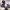 https://res.cloudinary.com/billionhands/image/upload/v1771843852/items/nflj07r9uiv6rswmxowt.webp-1cover