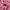 https://res.cloudinary.com/billionhands/image/upload/v1771843939/items/idbnq61y79gb89k3usdb.avif-0cover