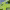 https://res.cloudinary.com/billionhands/image/upload/v1771843980/items/irvmq0winlfphclzq9dg.jpg-0cover