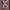 https://res.cloudinary.com/billionhands/image/upload/v1771844112/items/idkrhbwsdsbrxncweapg.jpg-1cover