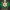 https://res.cloudinary.com/billionhands/image/upload/v1771844113/items/ka9o3sqpefewhgcmkuhf.jpg-3cover