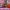 https://res.cloudinary.com/billionhands/image/upload/v1771844170/items/wamzegjpnwal3sej0nk3.webp-3cover