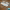 https://res.cloudinary.com/billionhands/image/upload/v1771844175/items/vybujwgwanpk2cazssps.jpg-1cover