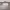 https://res.cloudinary.com/billionhands/image/upload/v1771844209/items/ethzpuwzeoceyhve2pcv.jpg-3cover
