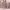 https://res.cloudinary.com/billionhands/image/upload/v1771844349/items/sr8vekklb0jxqzziyfmb.jpg-0cover