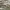 https://res.cloudinary.com/billionhands/image/upload/v1771844379/items/zqbzq1jafv0dxxkphaft.webp-3cover