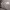 https://res.cloudinary.com/billionhands/image/upload/v1771844393/items/utycib8do0zya7j8rvv6.jpg-2cover