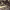 https://res.cloudinary.com/billionhands/image/upload/v1771844426/items/ukbvj3tydz7wbvkfb10w.webp-0cover