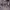 https://res.cloudinary.com/billionhands/image/upload/v1771844497/items/k6n4essxigmdffywyo3b.jpg-3cover