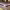 https://res.cloudinary.com/billionhands/image/upload/v1771844529/items/w065ejj7v9wlikua4hi8.jpg-3cover