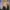 https://res.cloudinary.com/billionhands/image/upload/v1771844551/items/gb1tru19kgjksmjiylum.webp-1cover