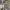 https://res.cloudinary.com/billionhands/image/upload/v1771844587/items/kom3i4bz18yxia7twi5c.webp-2cover