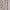 https://res.cloudinary.com/billionhands/image/upload/v1771844594/items/z6cnqiydreservejk6bw.jpg-1cover
