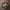 https://res.cloudinary.com/billionhands/image/upload/v1771844653/items/gcrhcxcjv2z46ytlgvjh.jpg-3cover