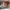 https://res.cloudinary.com/billionhands/image/upload/v1771844707/items/prlzufkixdlzmhddibcm.webp-0cover