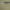 https://res.cloudinary.com/billionhands/image/upload/v1771844713/items/lakihnxo8n3koxm5shlm.jpg-2cover