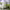 https://res.cloudinary.com/billionhands/image/upload/v1771844736/items/bzrpdqm5kp25g2tifsth.png-3cover