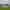 https://res.cloudinary.com/billionhands/image/upload/v1771844755/items/qyebubay1i6usqrmsfcu.webp-0cover