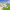 https://res.cloudinary.com/billionhands/image/upload/v1771844759/items/rrcuwl0hierdkh3hqsap.jpg-2cover