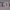 https://res.cloudinary.com/billionhands/image/upload/v1771844791/items/til6uqn7r9jzy8hgiciv.webp-2cover