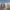 https://res.cloudinary.com/billionhands/image/upload/v1771844889/items/u5tzmu9tt8yqemqw4ngw.jpg-0cover