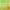 https://res.cloudinary.com/billionhands/image/upload/v1771844929/items/cpvvfy5tuxkjkuj4drlz.webp-1cover