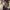 https://res.cloudinary.com/billionhands/image/upload/v1771848405/items/hz6mtouzexyg5fnk66oq.jpg-3cover