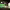 https://res.cloudinary.com/billionhands/image/upload/v1771848565/items/p0m09ivgykoxortp8pwn.jpg-2cover