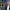 https://res.cloudinary.com/billionhands/image/upload/v1771922938/items/gv5vwzxh1kphakkrwofj.webp-2cover