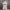 https://res.cloudinary.com/billionhands/image/upload/v1771922991/items/be3vkiqe2qmz0xp6y1b7.jpg-2cover
