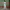 https://res.cloudinary.com/billionhands/image/upload/v1771922991/items/n1rrt1ohl5wrga262u9a.jpg-1cover
