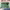 https://res.cloudinary.com/billionhands/image/upload/v1771923205/items/dohwzryzt3bo3zimjvfl.jpg-2cover
