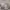 https://res.cloudinary.com/billionhands/image/upload/v1771923224/items/li6brcaibibvtgl1umv6.webp-2cover