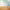https://res.cloudinary.com/billionhands/image/upload/v1771923326/items/utpyhu4bjir9uegxlkml.webp-0cover