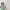 https://res.cloudinary.com/billionhands/image/upload/v1771923411/items/tb20bzknjkczlzrt4iva.jpg-0cover