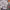 https://res.cloudinary.com/billionhands/image/upload/v1771923416/items/tck9hmfml0yypk8sfy88.webp-3cover