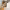 https://res.cloudinary.com/billionhands/image/upload/v1771923423/items/gb0ocnsq7vkkbzv9yhry.webp-2cover