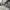 https://res.cloudinary.com/billionhands/image/upload/v1771923433/items/xpirmehozngujvm1o43p.webp-2cover