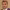 https://res.cloudinary.com/billionhands/image/upload/v1771923434/items/n6lk40vcgwlzjnpn60gs.jpg-1cover