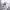 https://res.cloudinary.com/billionhands/image/upload/v1771923522/items/chpni4lssrazfmbif0ky.jpg-2cover