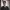 https://res.cloudinary.com/billionhands/image/upload/v1771923678/items/cuslkxnz1jdtwcbclefo.webp-3cover