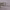 https://res.cloudinary.com/billionhands/image/upload/v1771923794/items/om8ouauobvzsxjt18dwl.jpg-3cover