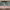 https://res.cloudinary.com/billionhands/image/upload/v1771923855/items/ysyosuwbkjv8zbawgosm.webp-0cover