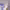https://res.cloudinary.com/billionhands/image/upload/v1771923940/items/bguuxg4bf2fqqhm2auyl.jpg-3cover