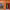 https://res.cloudinary.com/billionhands/image/upload/v1771923955/items/ilzfvwkz03cwooe0wsba.jpg-1cover