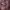 https://res.cloudinary.com/billionhands/image/upload/v1771924011/items/ayauzvrtmrljvqnjmr1i.jpg-0cover
